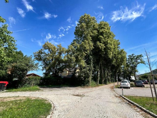 Moderne 2 Zimmer Wohnung mit Terrasse in Nettingsdorf zu mieten!