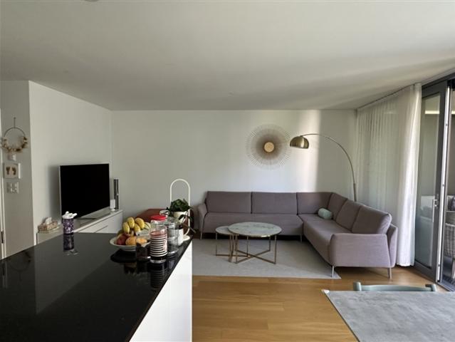 Moderne 3,5 ZimmerWohnung mit Südwest Balkon nahe Stadt und Rhein