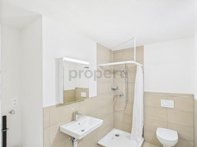 Moderne 3.5 Zimmer Dachwohnung in Schleitheim, SG | dreamo. Ch