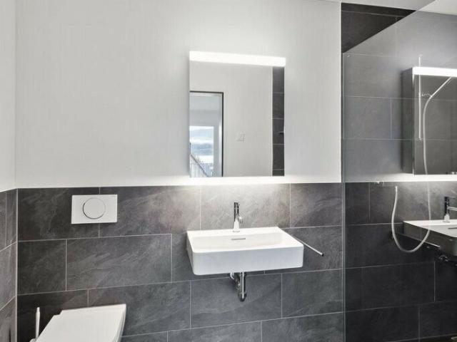 Moderne 3 5 Zimmer Wohnung mit atemberaubendem Zürichsee Blick | dreamo. Ch