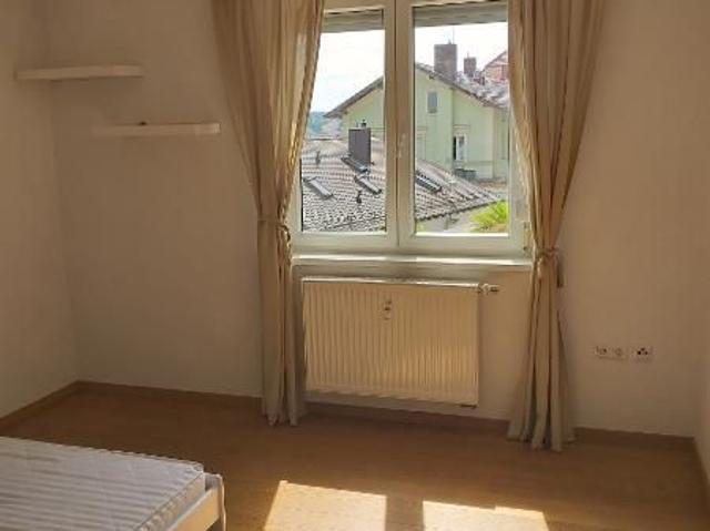 Moderne 3 Zimmer Wohnung in historischem Altbau mit EBK, Garten und Terrassen Nutzung in Passau Stadt