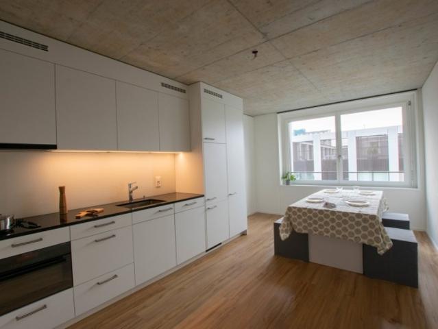 Moderne 3 Zimmerwohnung mit gemeinsamer Dachterrasse