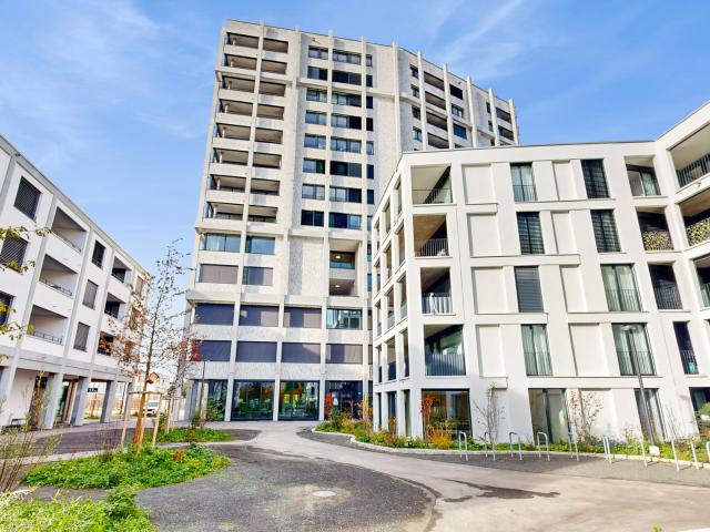Moderne 4.5 Zimmerwohnung mit herrlicher Aussicht in Aesch