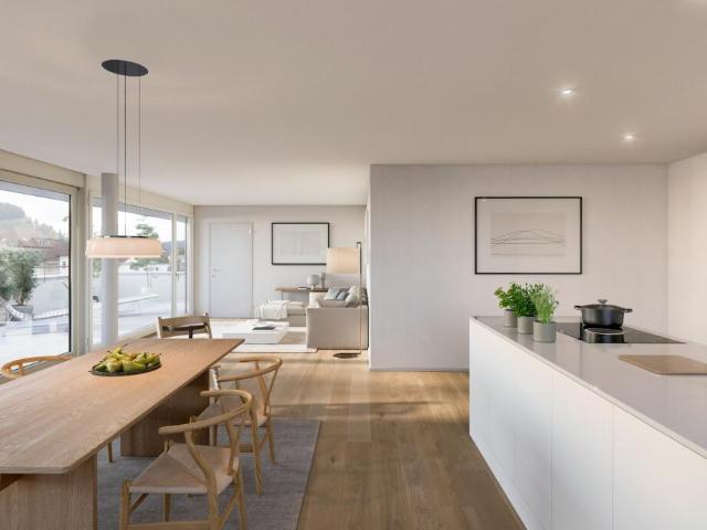 Moderne 4.5 Zimmerwohnungen im Leuepark Dagmersellen