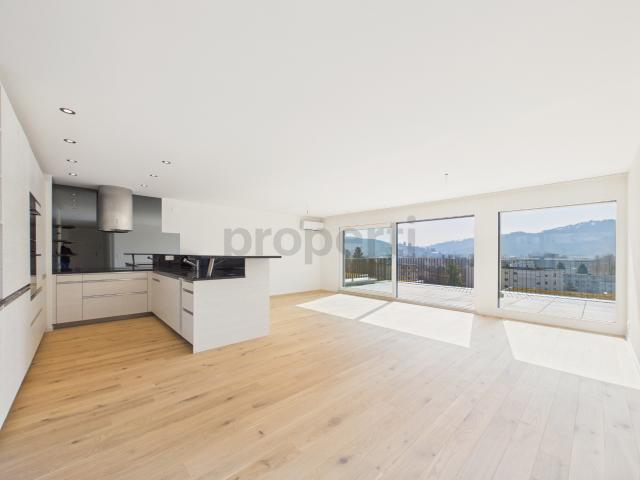 Moderne 4.5 Zimmer Wohnung mit sonnigen Terrassen in Winterthur