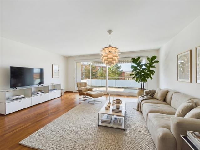 Moderne 4.5 Zimmer Wohnung mit Rheinblick