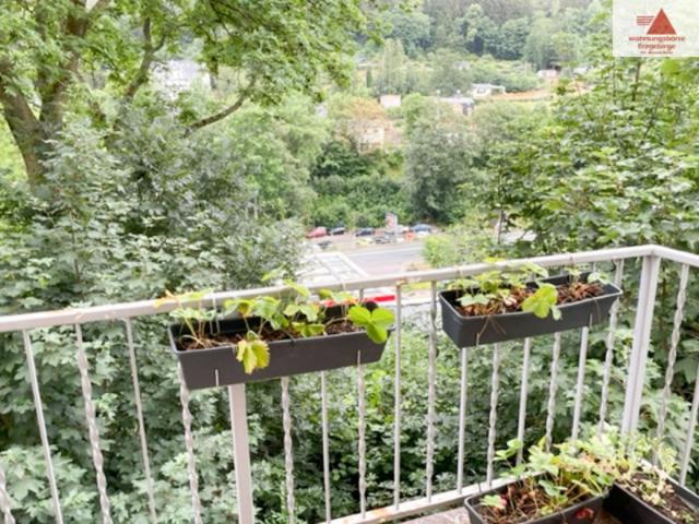 Moderne 4 Raum Wohnung mit Balkon in Annaberg OT Buchholz!