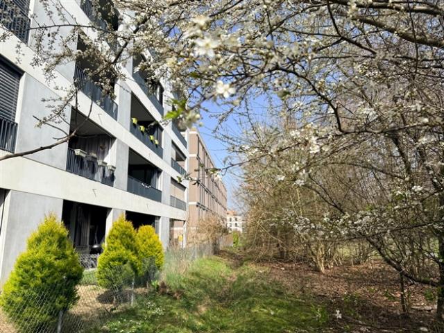 Moderne 4 Zimmer Wohnung vor der Haustür von Genf Meyrin