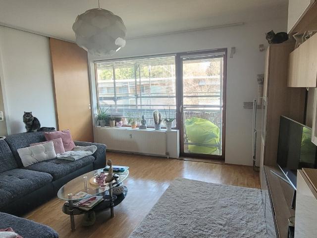 modernes wohnen im holzhaus! möblierte 3 raumwohnung mit balkon & carport!