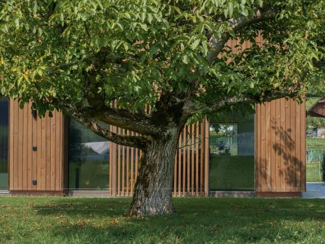 Modernes Wohnen mit Galerie, Garten und eigener Tiefgarage Mittelhaus