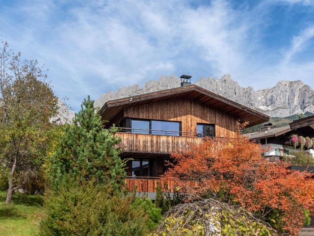 Modernes Chalet mit traumhaftem Kaiserblick 01794