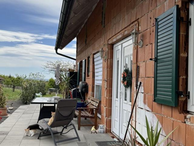 Modernes Haus in den Weinbergen Wohnen mit Stil und Weitblick