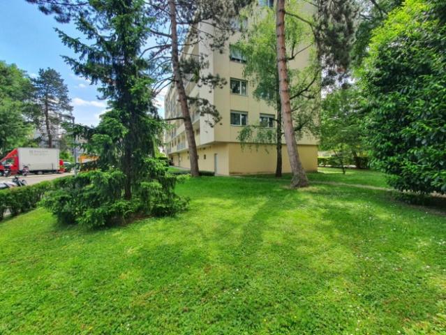 Modernisierte und gepflegte Wohnung an zentraler Lage