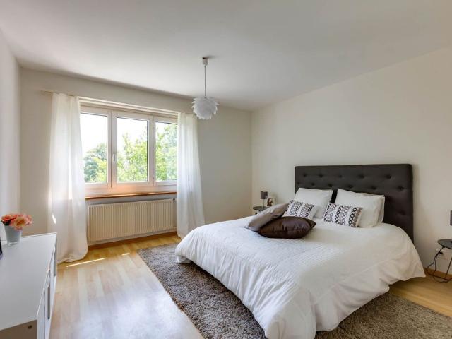 Modernized apartment in the middle of Zuchwil