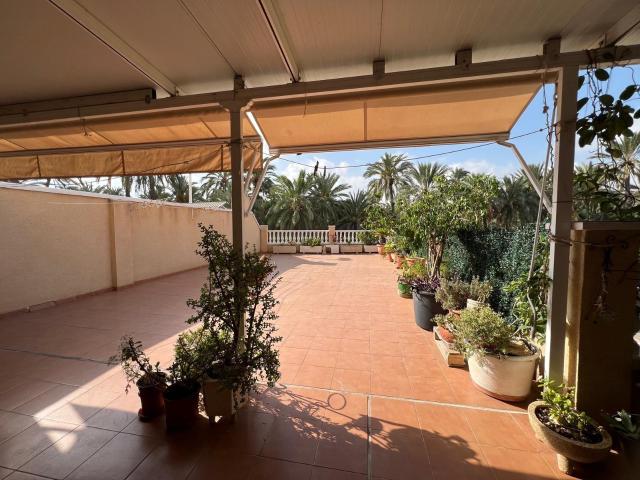 Moderno Piso en Elche con Terraza y Vistas a Huertos de Palmeras