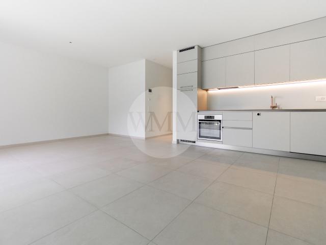 Moderno 2.5 locali con terrazza e giardino privato | dreamo. Ch