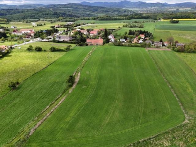 Modliszów 3 000 m², Modliszów