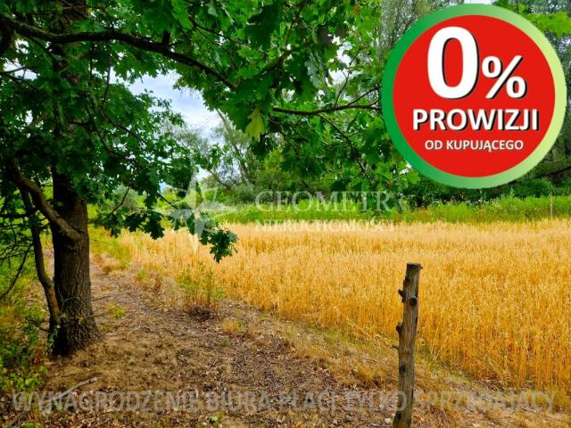 Modrzewiowa 4 499 m², Boża Wola