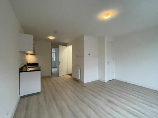 moerkerkestraat rotterdam
