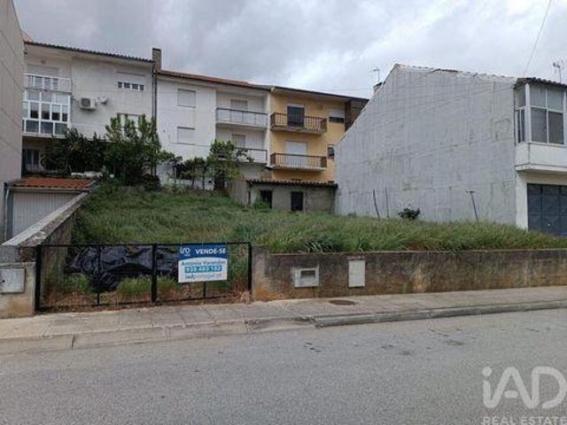 Mogadouro Braganca 101351582