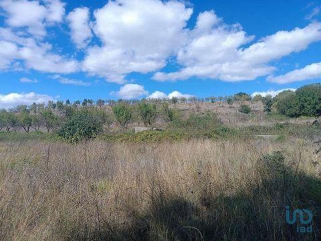 Mogadouro Braganca LS92482524