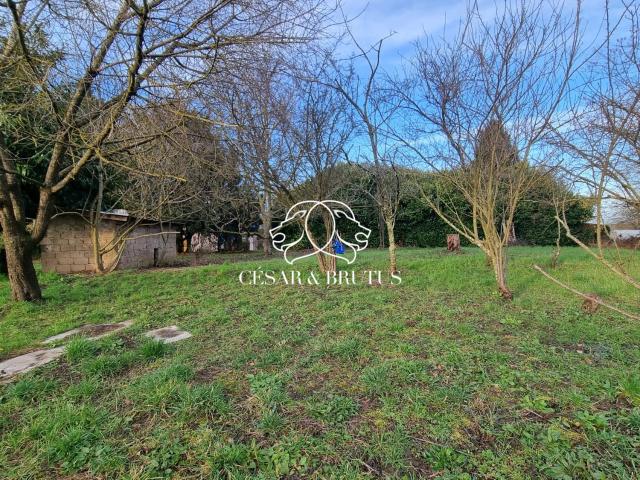 Mogneneins Vente Terrain 01