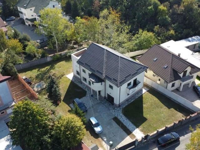 Mogosoaia, vila la padure si DN