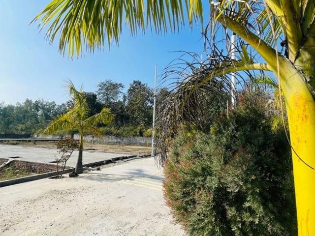 Mohbewala 130 Sq.Yd. Plot in Mohabbewala Dehradun Listing ID: #9939