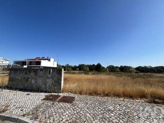 Moita Setubal 103660832