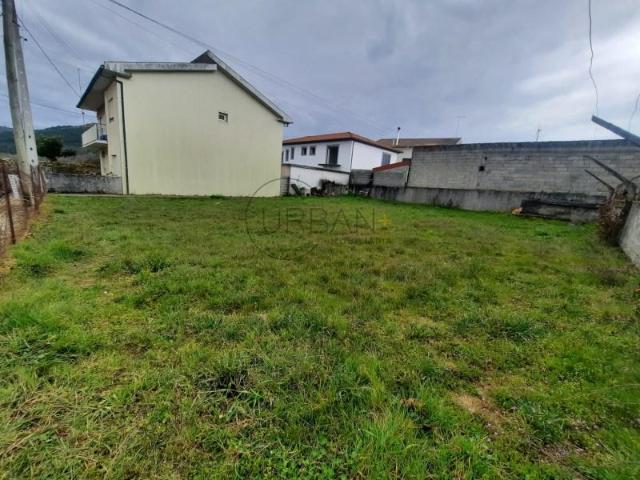 Moimenta da Beira Moimenta da Beira LS89261369