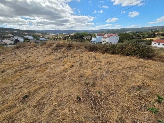 Moimenta da Beira Moimenta da Beira LS90916034