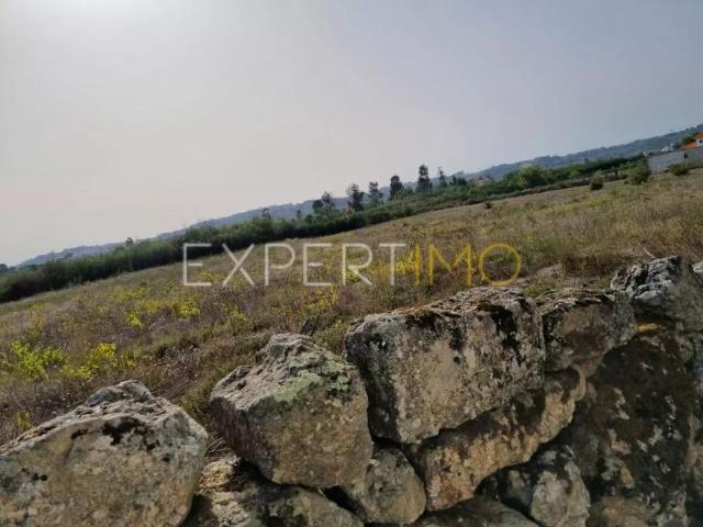Moimenta da Serra Guarda 91598528