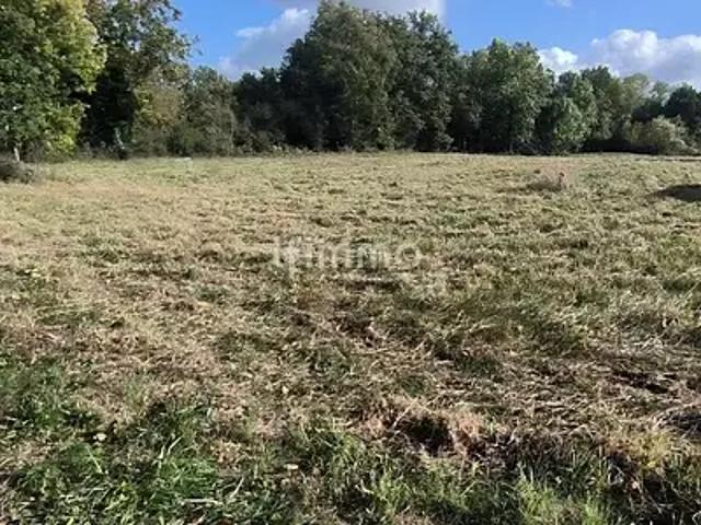 Moisenay 77950 Achat / Vente terrain