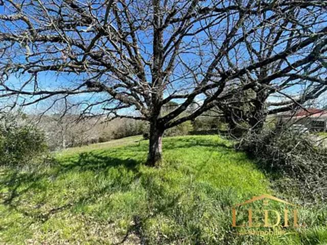 Moissac 82200 Achat / Vente terrain
