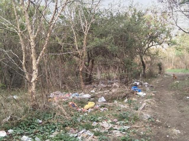 Mokarwadi, Narhe 4000 Sq.Ft. Plot in Mokarwadi Pune Listing ID: #10312