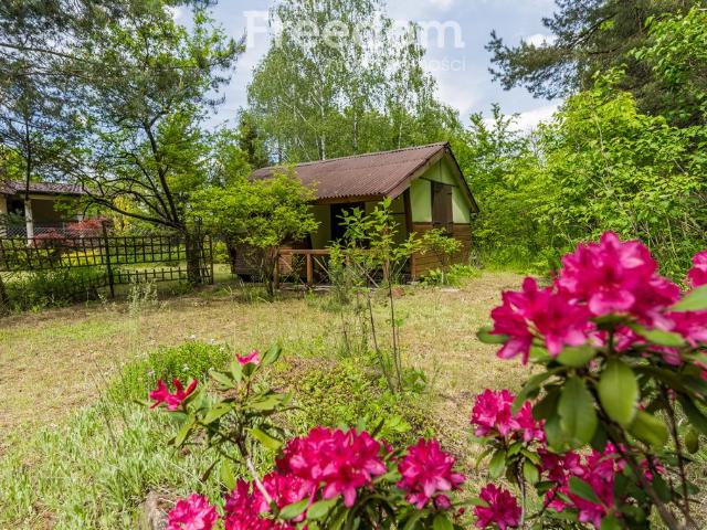 Mokre, 1 300 m2