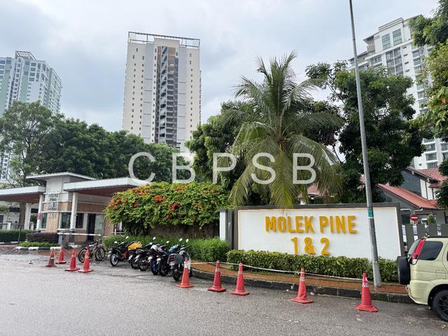 Molek Pine T2 Condo For Sale