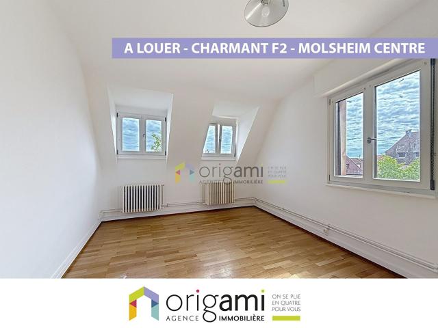 Molsheim Coquet F2 En Centre ville