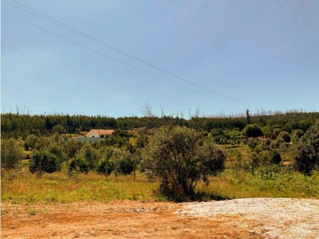 Mortágua Mortágua LS100785670