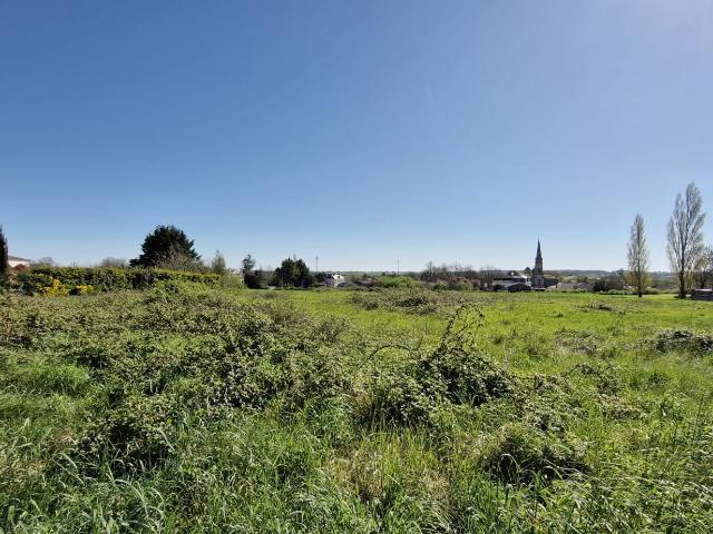 Mortagne sur Gironde Vente Terrain 17