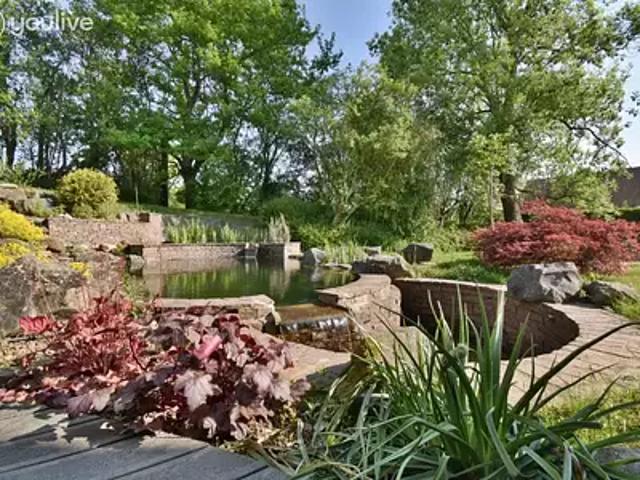 Morvillars 90120 Achat / Vente maison 7 pièces t7 piscine