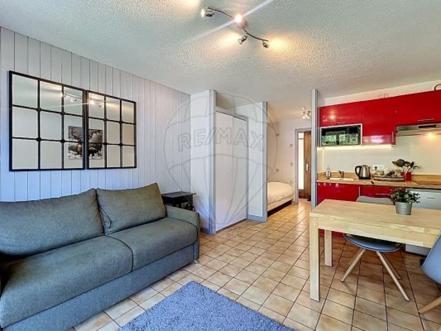 MORZINE, appartement à vendre, Studio, 24 m²