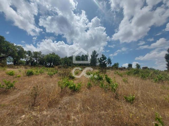 Mora Évora LS66628965