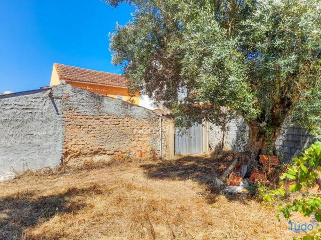 Moradia M3 em local tranquilo | 26063815626