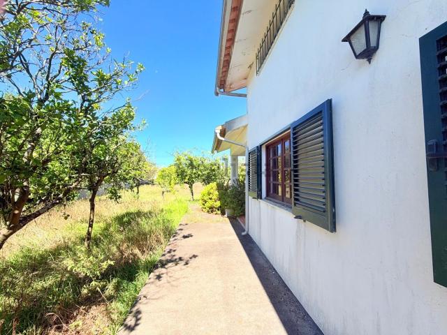 Moradia, Murtosa