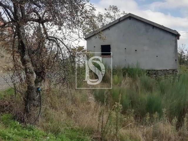 Moradia, Mateus
