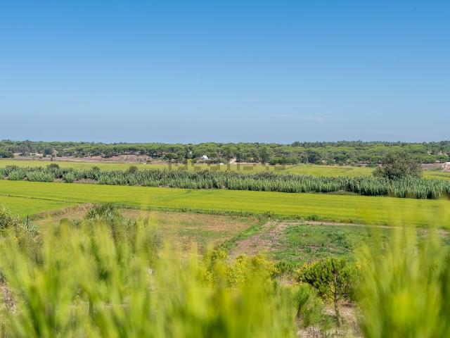 Moradia, Melides