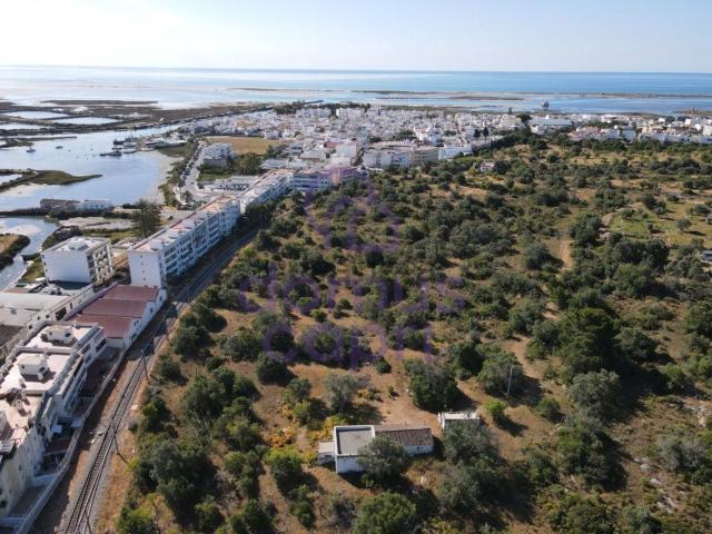 Moradia, Moncarapacho