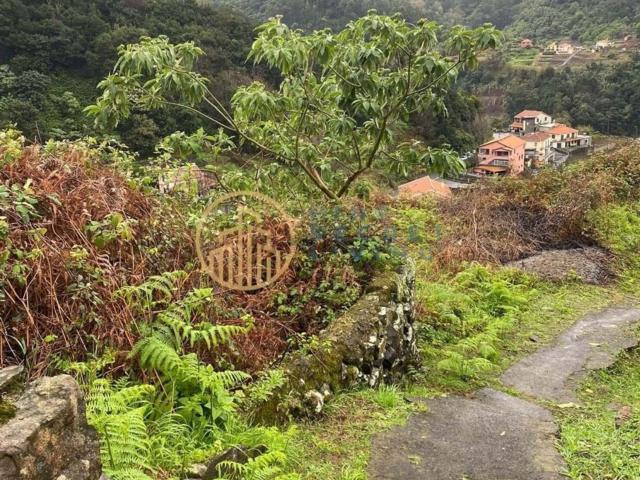 Moradia, São Vicente