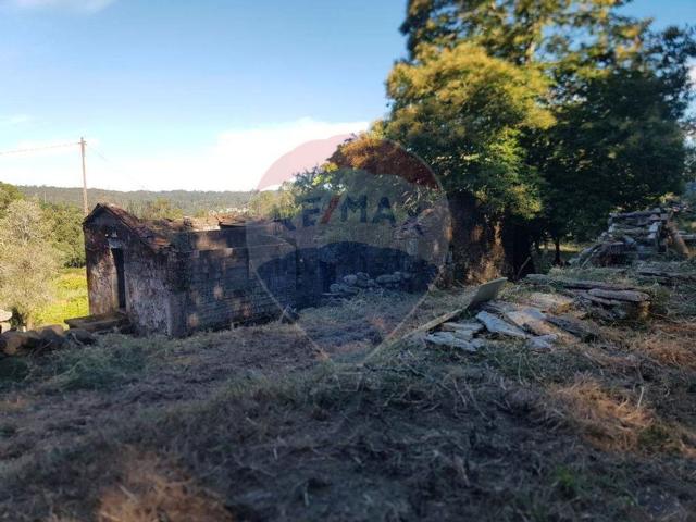 Moradia, Navió e Vitorino dos Piães